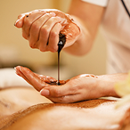 Ayurvedic Wellness/ Body Treatments